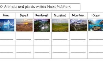 Year 2 Macro Habitats Worksheet