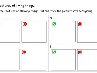 Year 2 Features of Living Things Worksheet