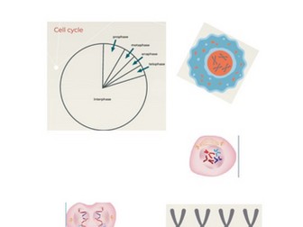 WJEC A level BIOLOGY AS UNIT 1 TOPIC 1.6: CELL DIVISION WORK BOOKLET.