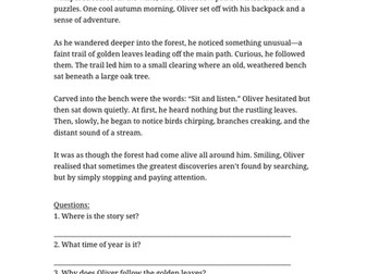 11 Plus English Activity