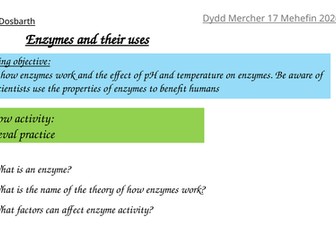 Enzymes and their Uses