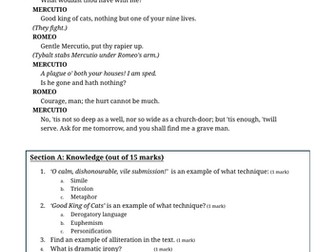 Practice Assessments: Romeo and Juliet
