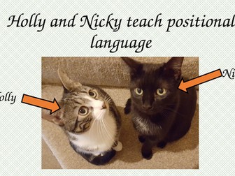 Positional Language Powerpoint