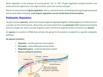 Summary Notes for Revision - Gene Regulation and Mutations