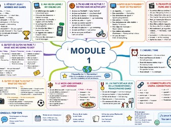 AQA French GCSE Mind maps for Pearson text book module 1-8