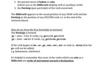 German Perfect tense Worksheet - KS3 + KS4
