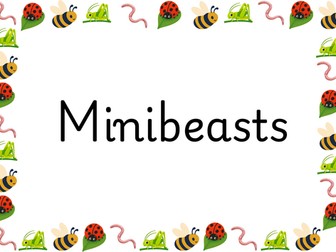 EYFS Minibeasts Complete Continuous Provision Enhancement Pack | 100 Pages | EYFS & Year 1