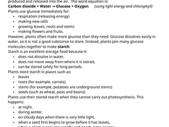 Photosynthesis and Starch Comprehension Worksheet - Science and Literacy