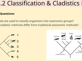 A3.2 Classification & Cladistics IB DP BIO
