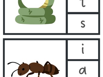 Initial Sound Phonics Animal Pegging