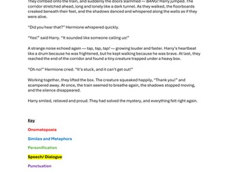 Harry Potter Features of a  Descriptive/ Story Text Year 5/6