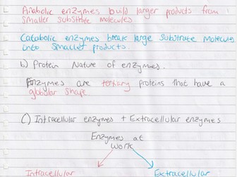 WJEC A level Biology As Unit 1 Topic 1.4: Enzymes notes