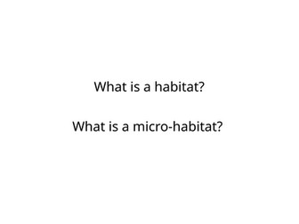 Types of habitats in the UK