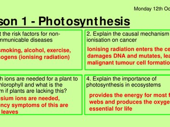 AQA GCSE Biology Bioenergetics Slides