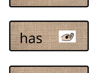 Year 1 Common Exception Word Display Flashcards | Neutral Hessian | Widget Symbols | KS1 English