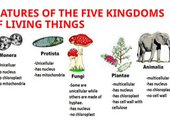 IGCSE BIOLOGY FEATURES OF ORGANISMS