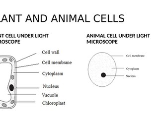 IGCSE BIOLOGY CELL STRUCTURE