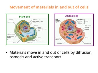 IGCSE BIOLOGY MOVEMENT OF MATERIALS IN AND OUT OF CELLS