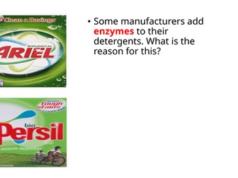 IGCSE BIOLOGY ENZYMES