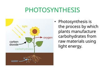 IGCSE BIOLOGY PLANT NUTRITION