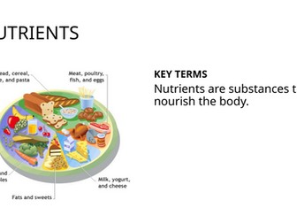 IGCSE BIOLOGY HUMAN NUTRITION