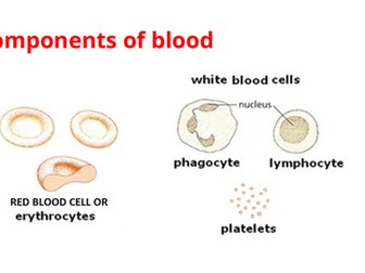 IGCSE BIOLOGY TRANSPORT IN ANIMALS
