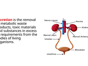 IGCSE BIOLOGY EXCRETION