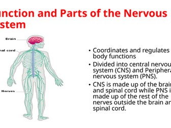 IGCSE BIOLOGY COORDINATION AND RESPONSE