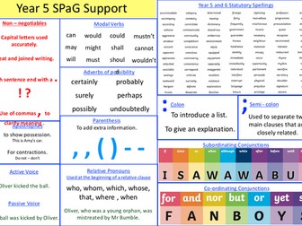Y5 SPaG Support