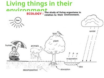 IGCSE BIOLOGY ORGANISMS AND THEIR ENVIRONMENT