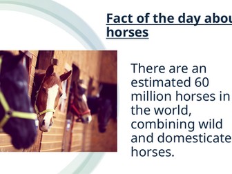 Facts of the day about a horse