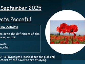 Y8 Private Peaceful Full Scheme