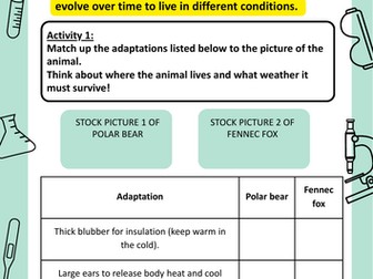Animal Adaptations