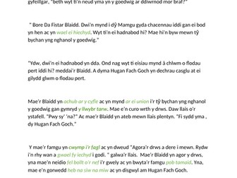 HOME SCHOOL RESOURCE: WELSH / CYMRAEG: stori Hugan Fach Goch