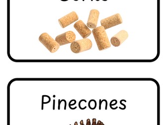 Labels for EYFS classroom