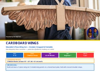 Cardboard Wings | Junk Modelling Build Plan | Design & Technology | STEM Printable