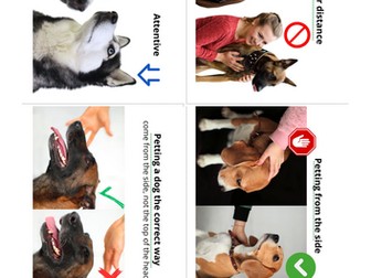 Dog Body Language & Safe Interaction Cards | 56 Visual Cards for Kids