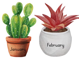 Botanical Birthday Display