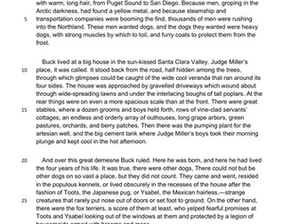 11+ MCQ Reading Comprehension CALL OF THE WILD
