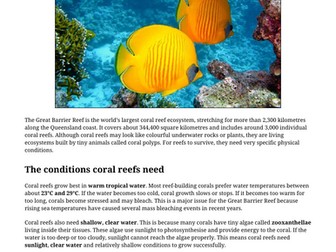 Coral Reef Conditions