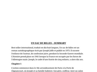 Un Sac de Billes Summary