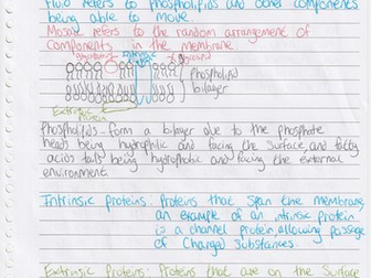 WJEC AS Biology Unit 1 Topic 1.3: Cell membranes and transport handwriten notes