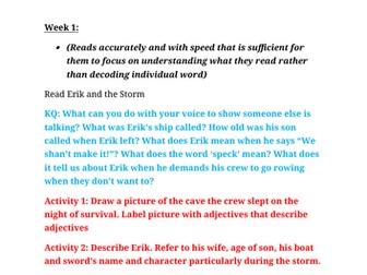 Erik the Vilking - Guided Reading