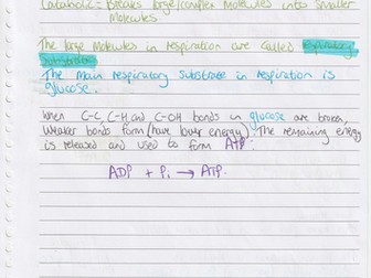WJEC A level Biology A2 Unit 3 Topic 3.3: Respiration handwriten notes