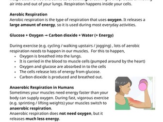 Keystage 3/4 - Science Comprehension Activity - Easy Cover Lessons