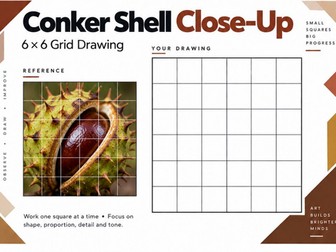 Conker Shell Close-Up Grid Drawing Worksheet | Observational Art | KS3 & KS4