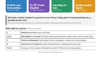 Dinesydd Digidol Da Welsh Online Safety DCF