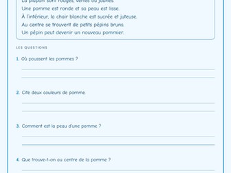 French Non-fiction Reading | 23 pp