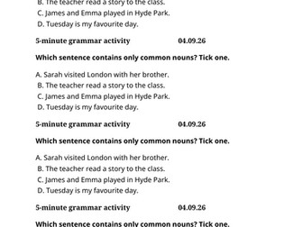 5 Minute Common Nouns Activity