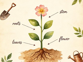 Parts of a Plant Science Worksheets K-1